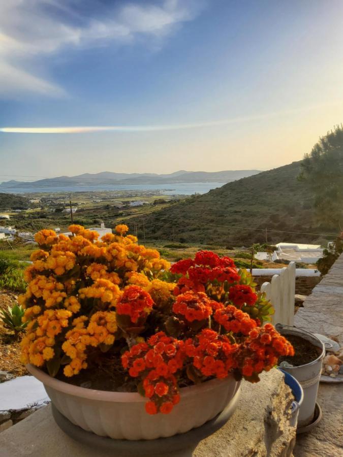 Romantic Sunset Cycladic House In Sotires Moni Christou Dasous Εξωτερικό φωτογραφία